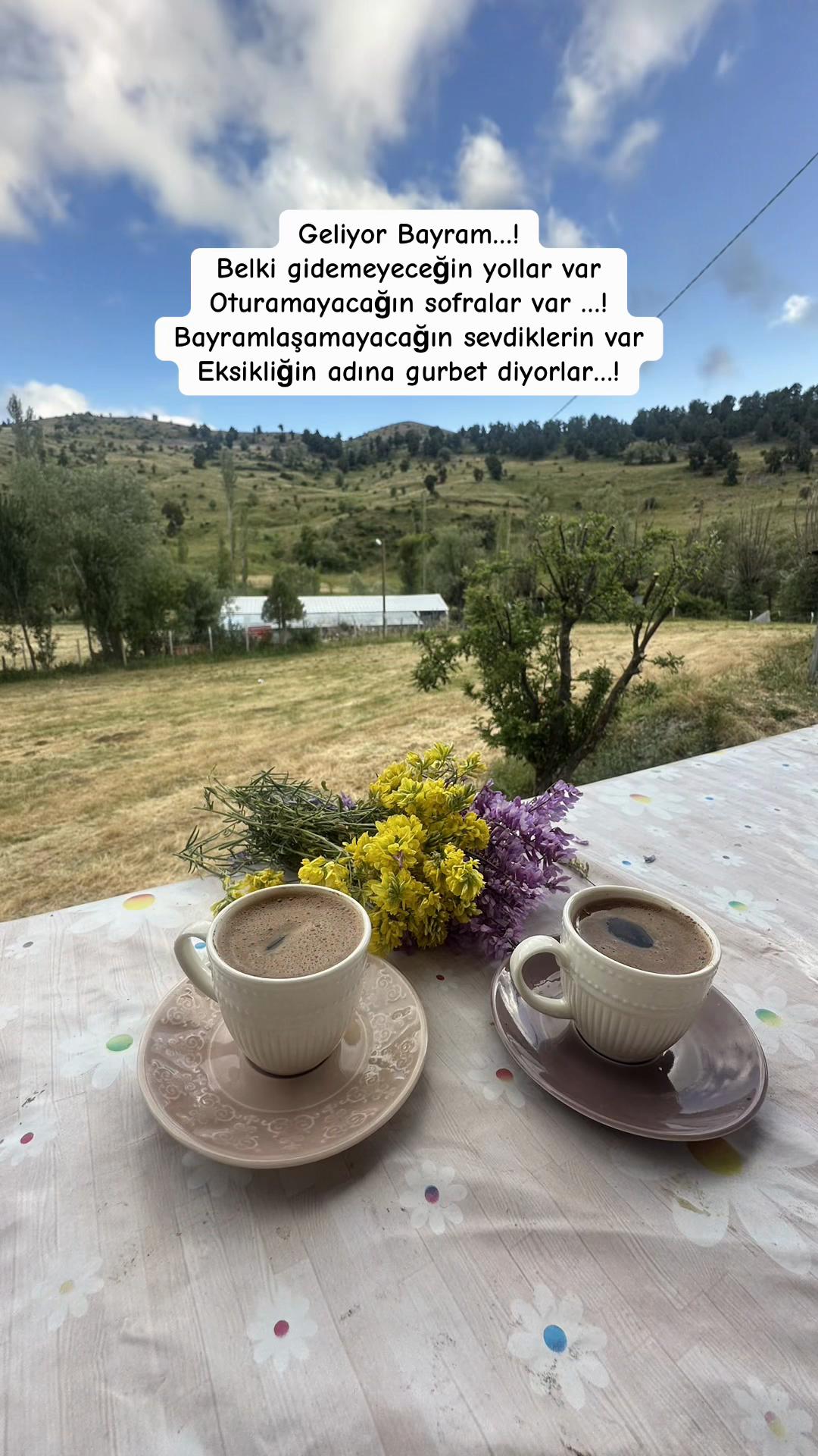 @58Tülay34