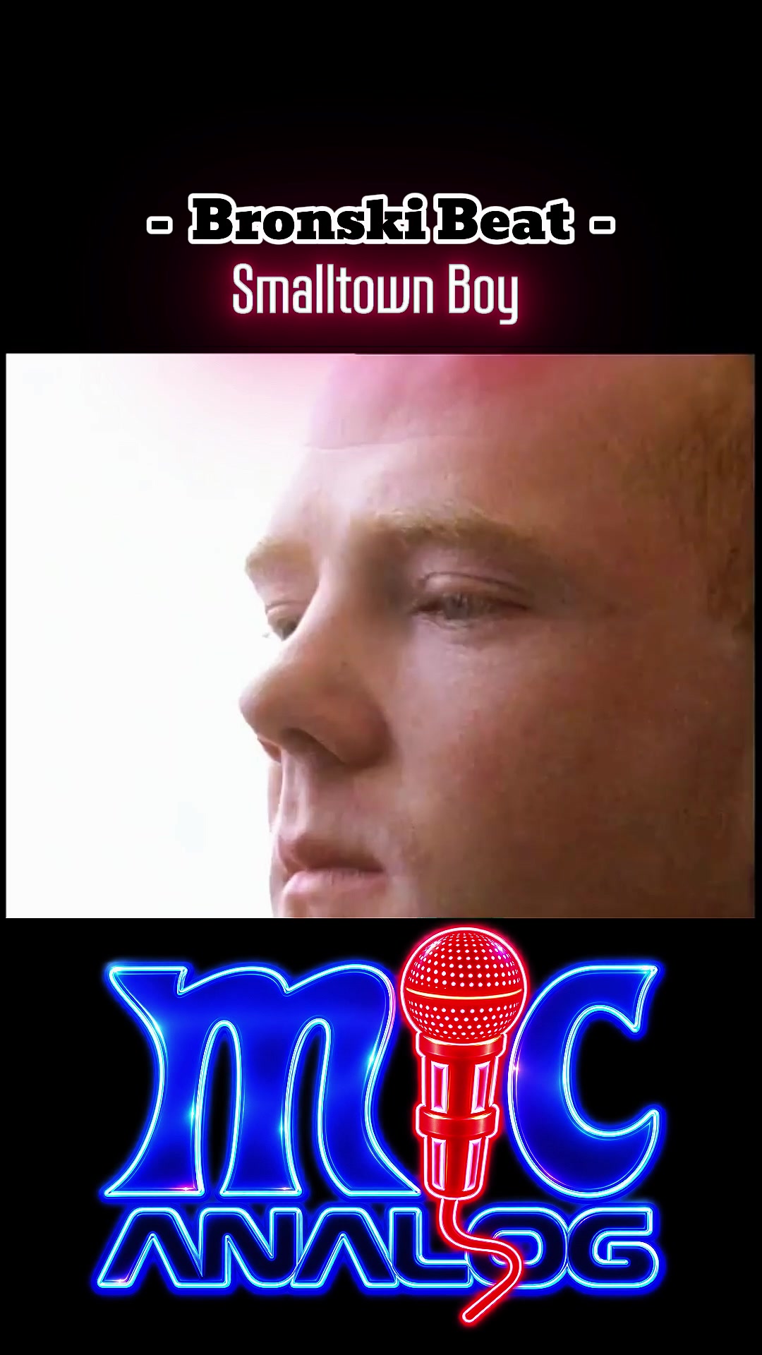 @mic analog