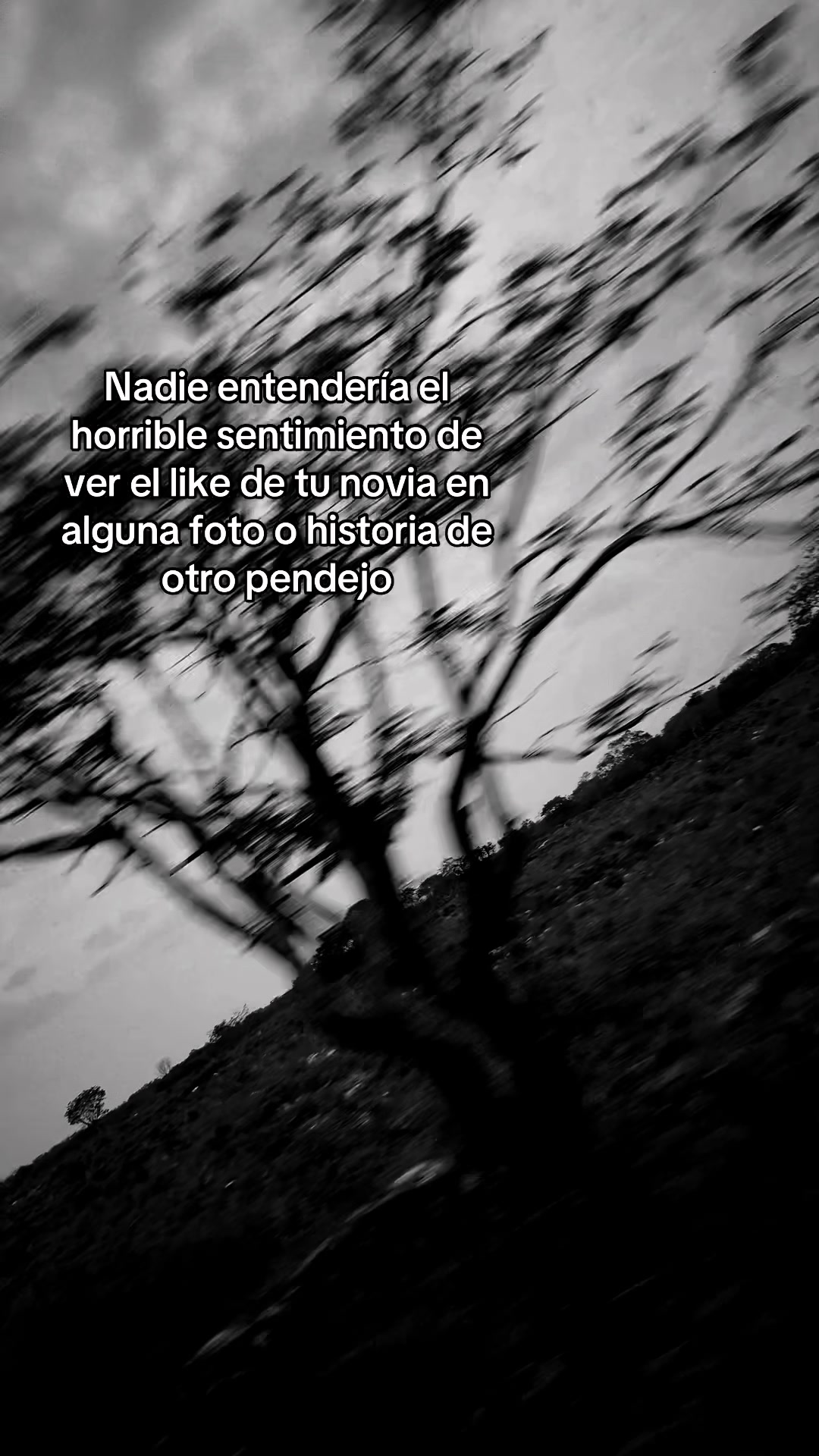 @Luis 🖤🫩