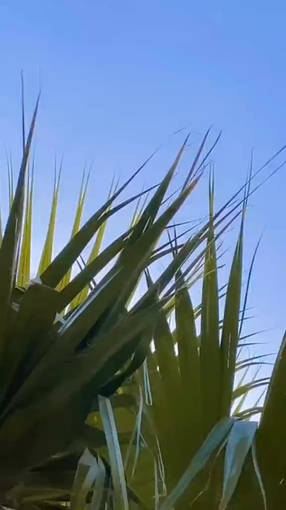 @unknown 4