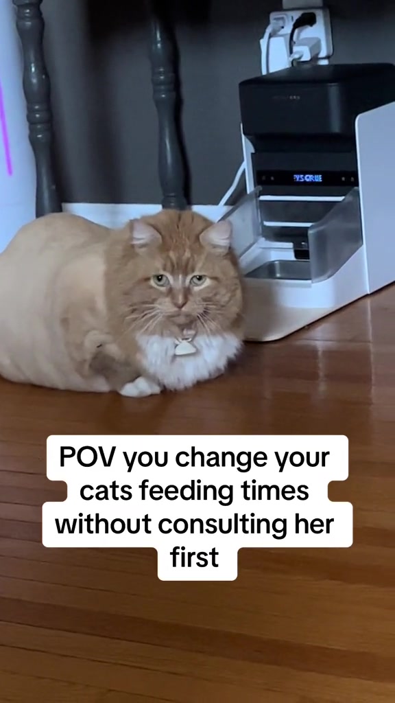 @Zoey