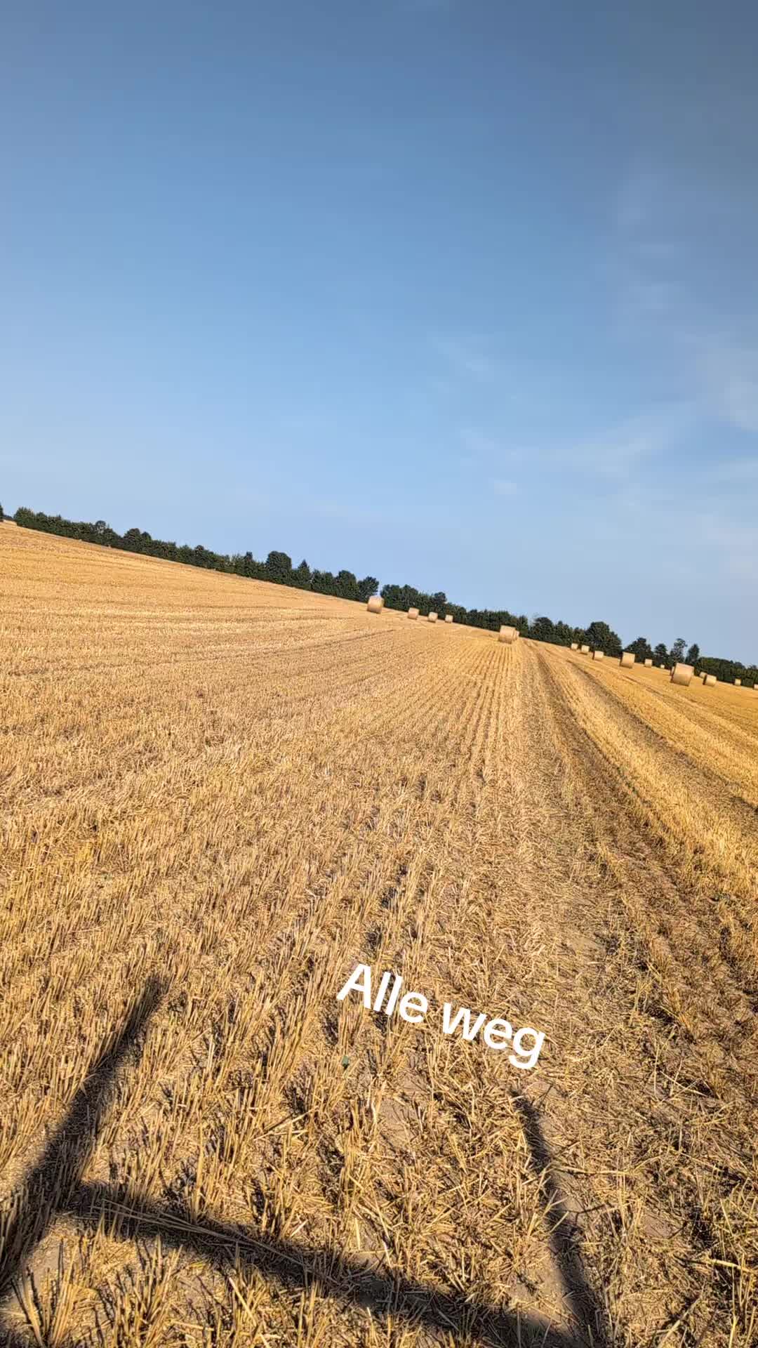 @Nico Rohde