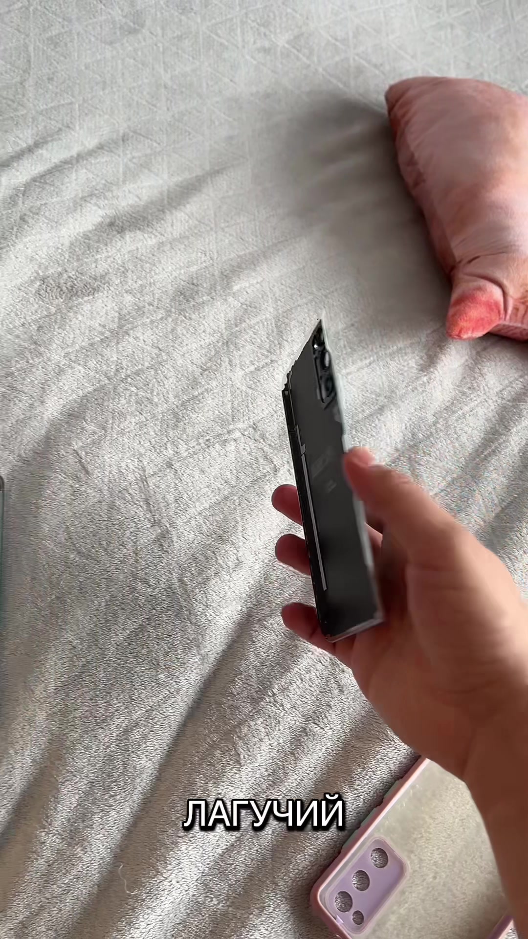 @Dogbeo3
