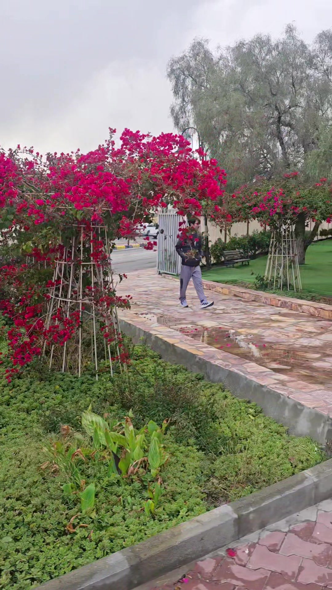 @𝒀. 𝒜𝒽𝓂𝒶𝒹