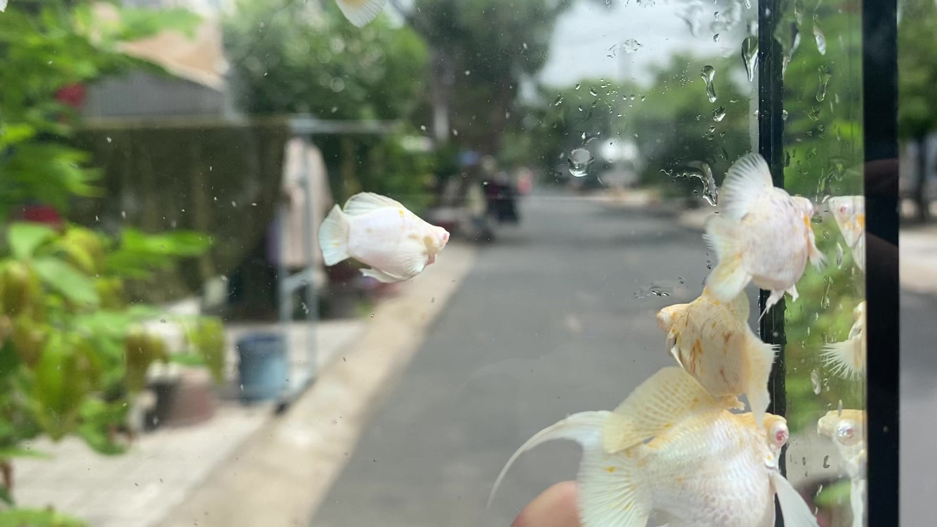 @Tỉnh Molly AG