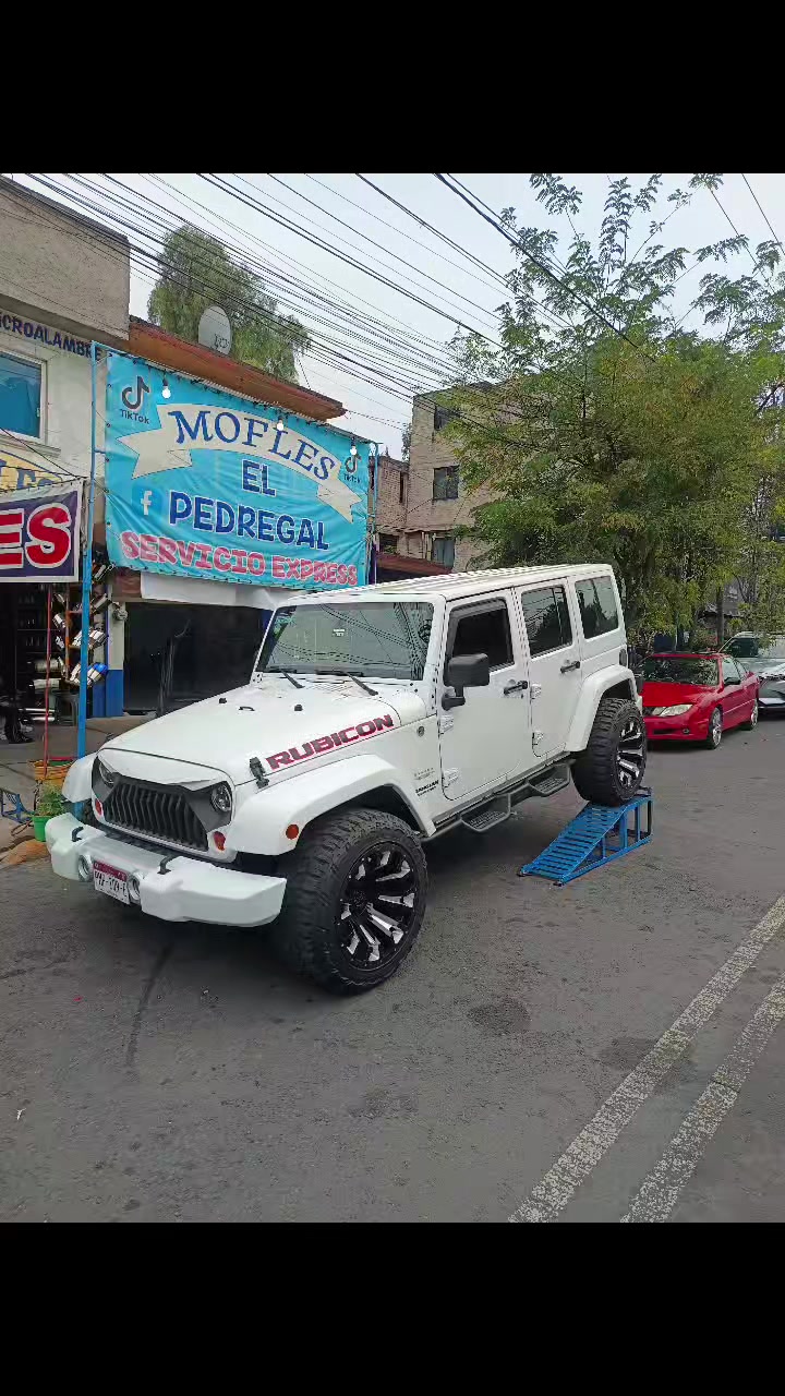 @Mofleselpedregal_1