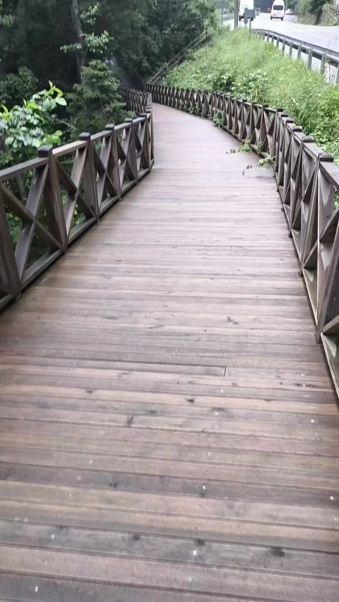 @gezginadam1453