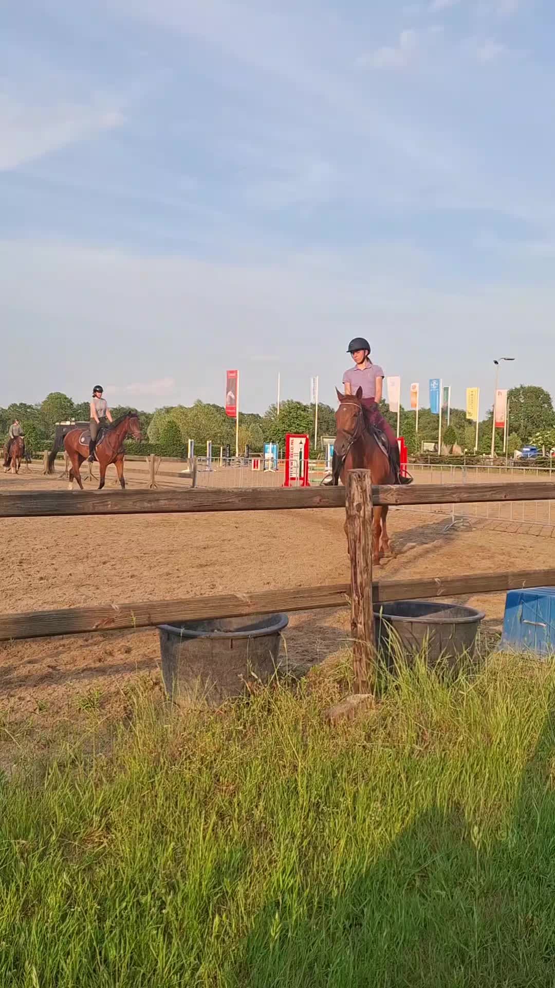 @horses.by.Britt:)