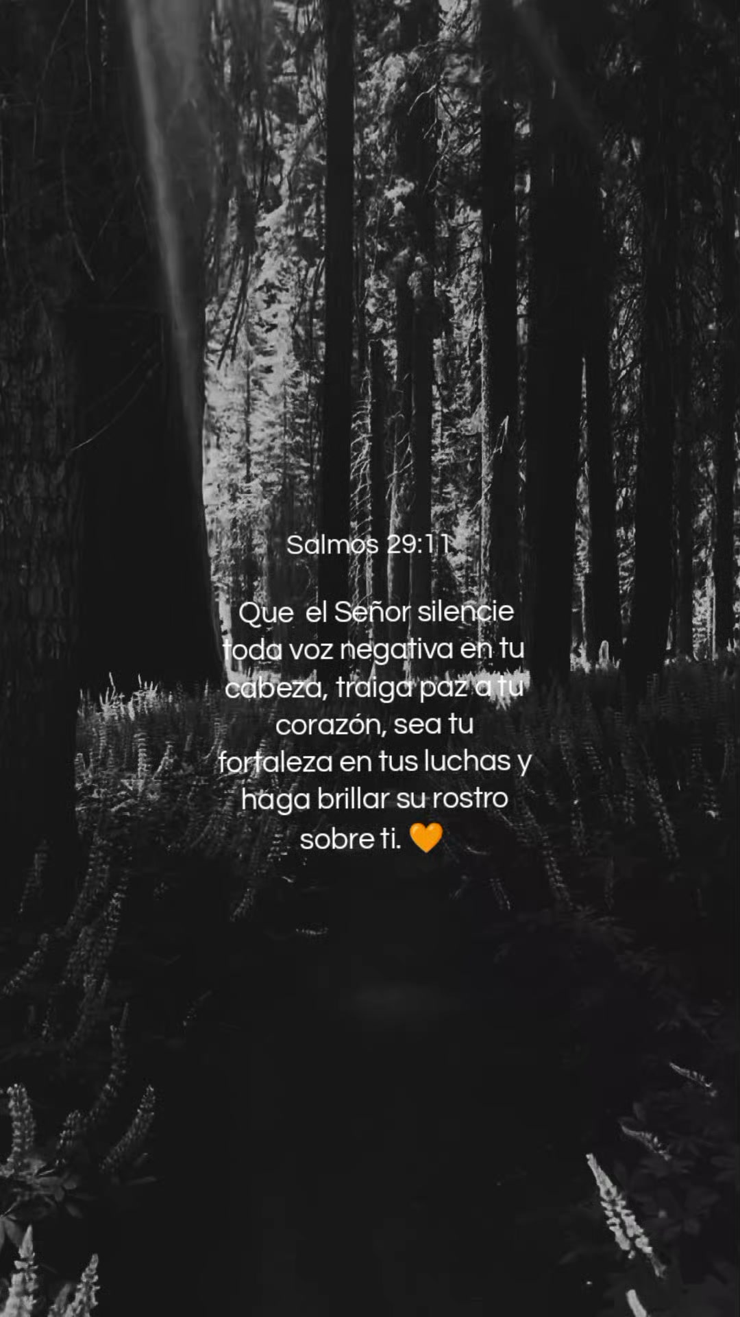 @✧Nando Luz 🕯️✞✨
