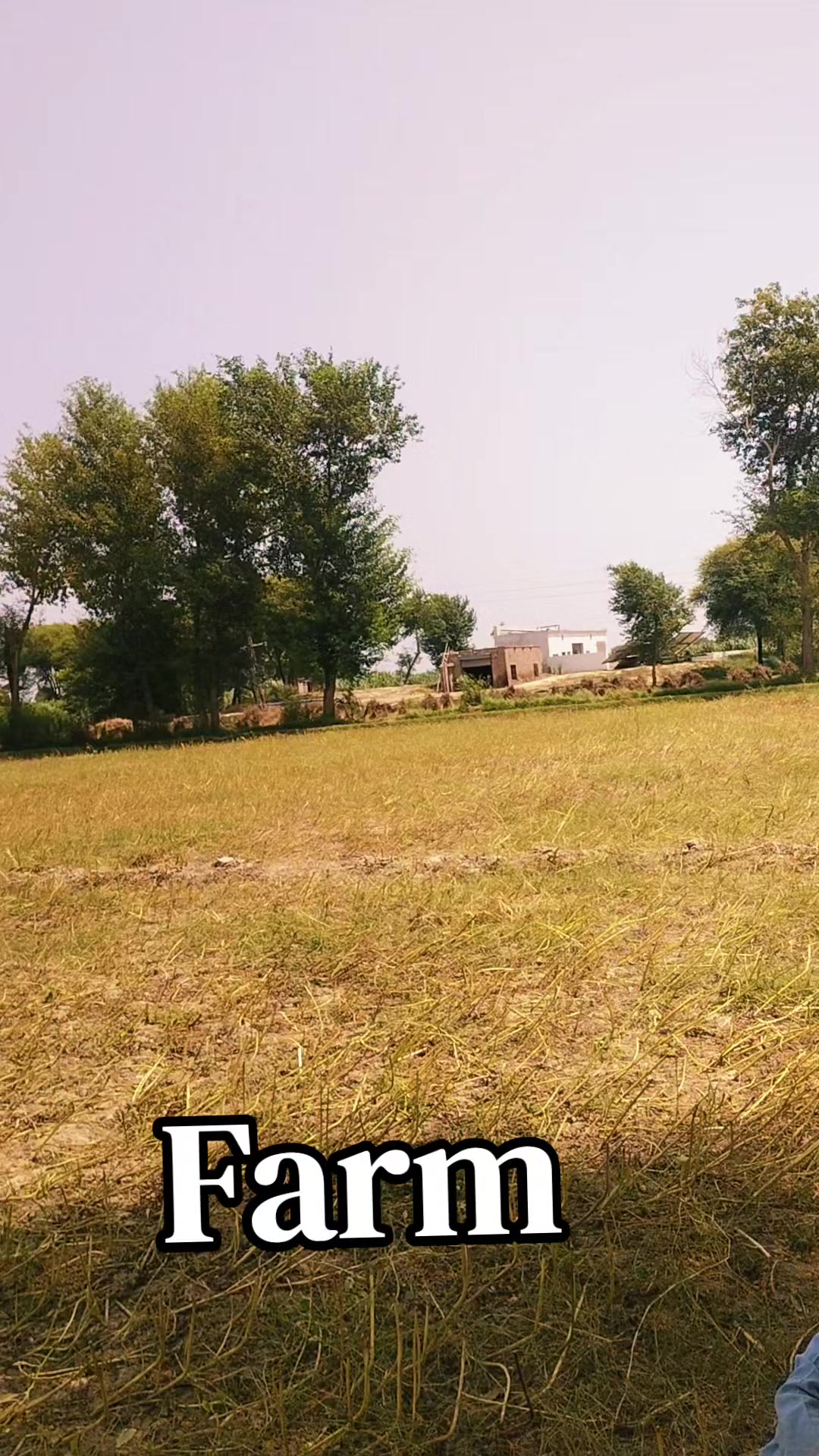 @usamahabibmastoi1