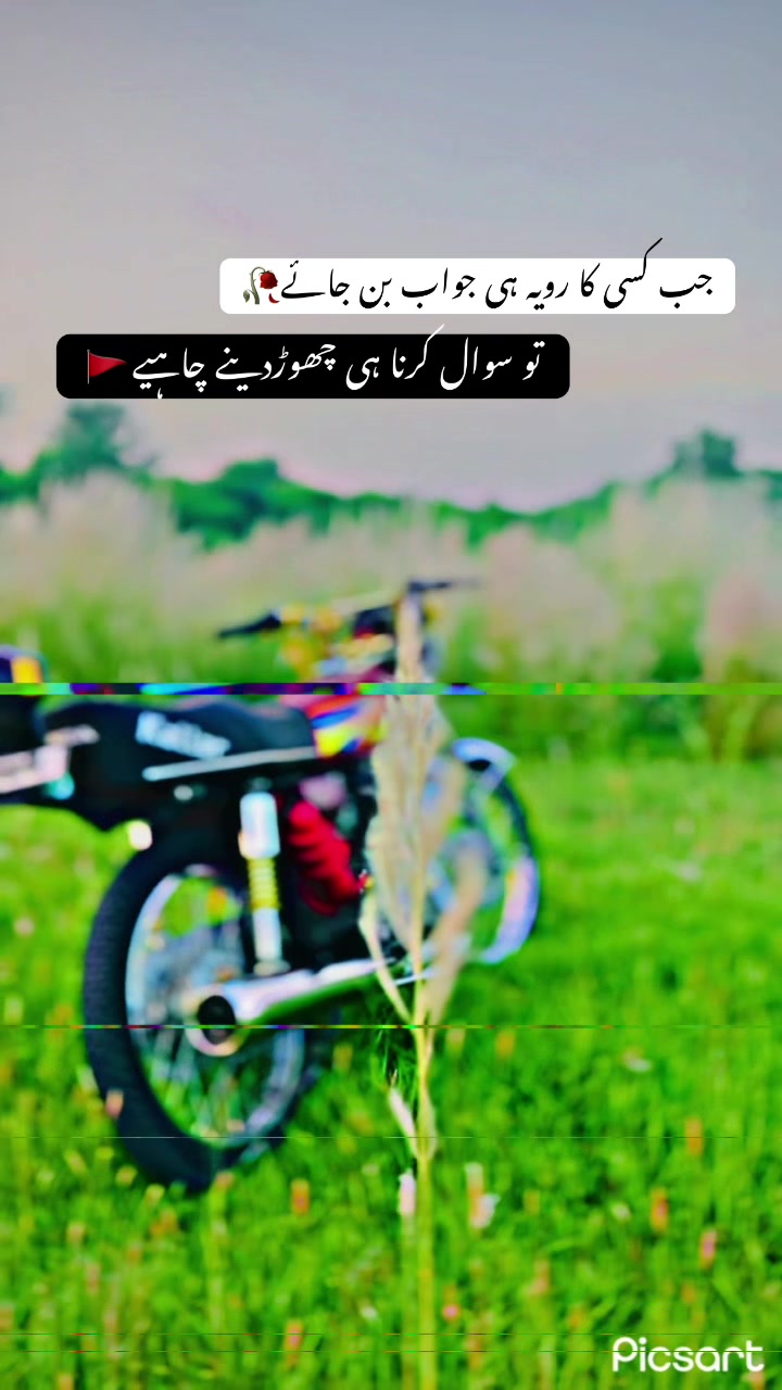 @Faنi Raجa⚡ 🇵🇰