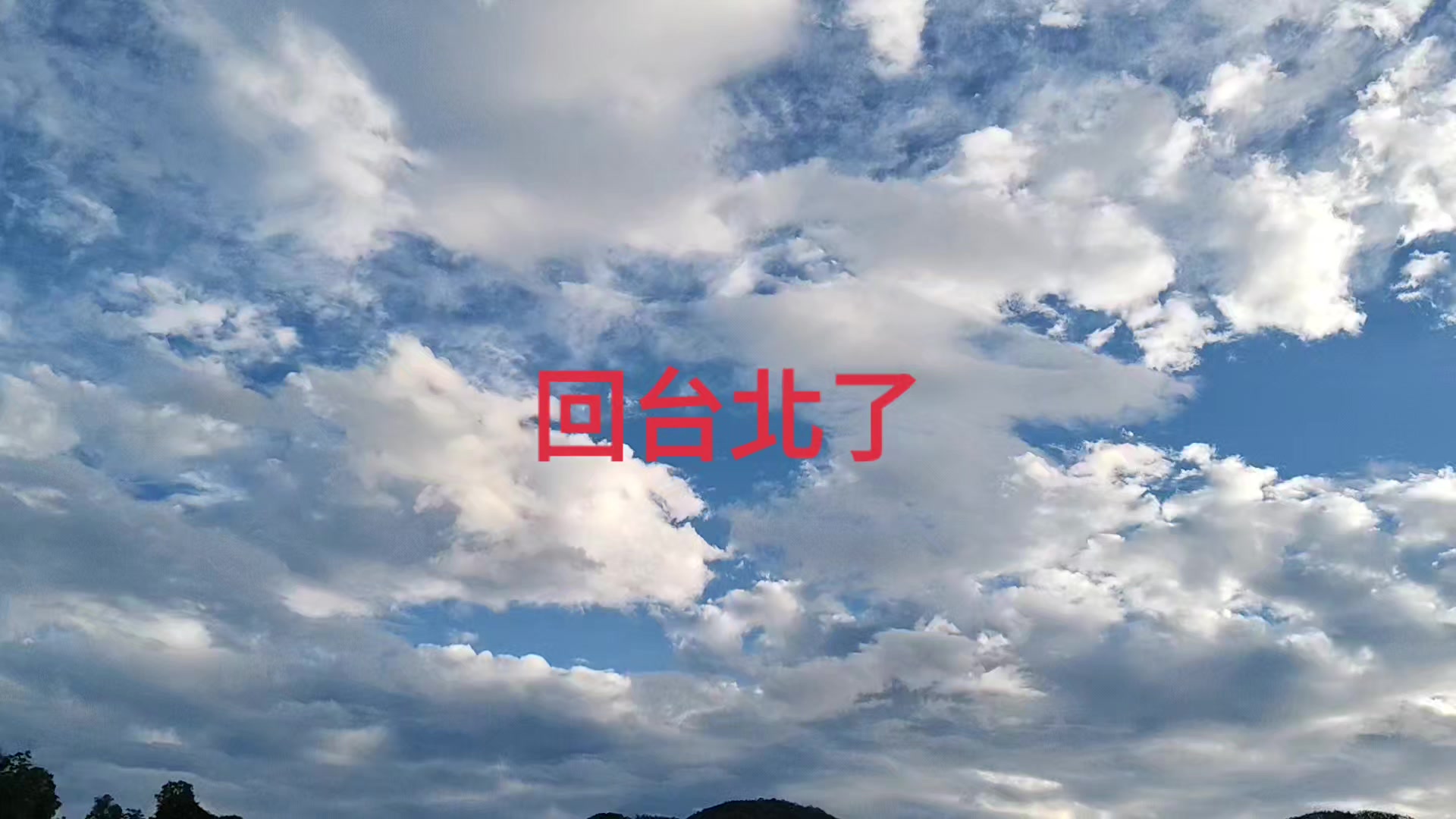 @好運蓮蓮