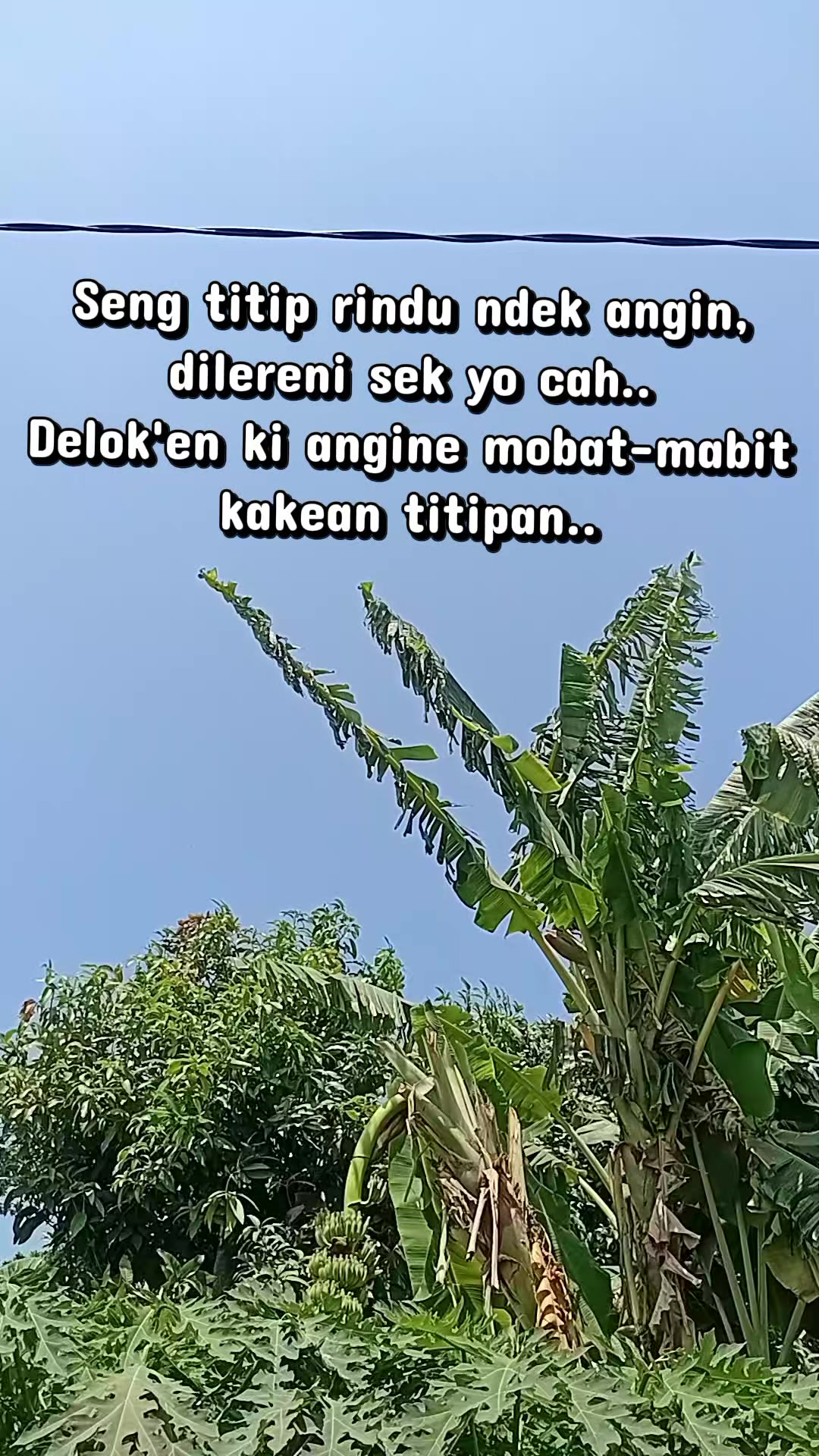 @Lestari