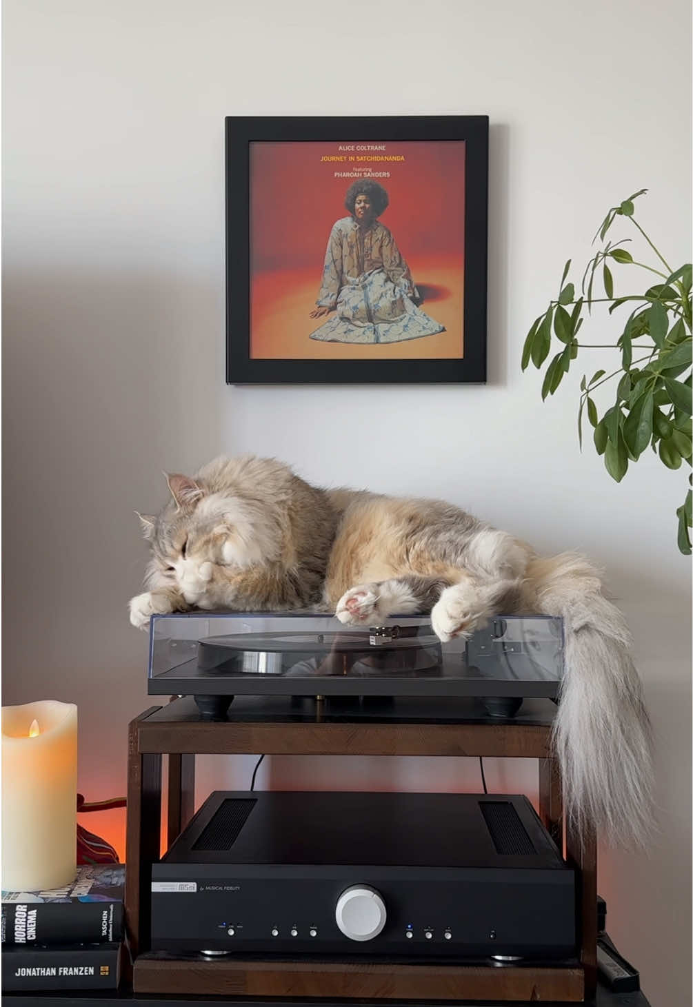 @Leon The Vinyl Cat