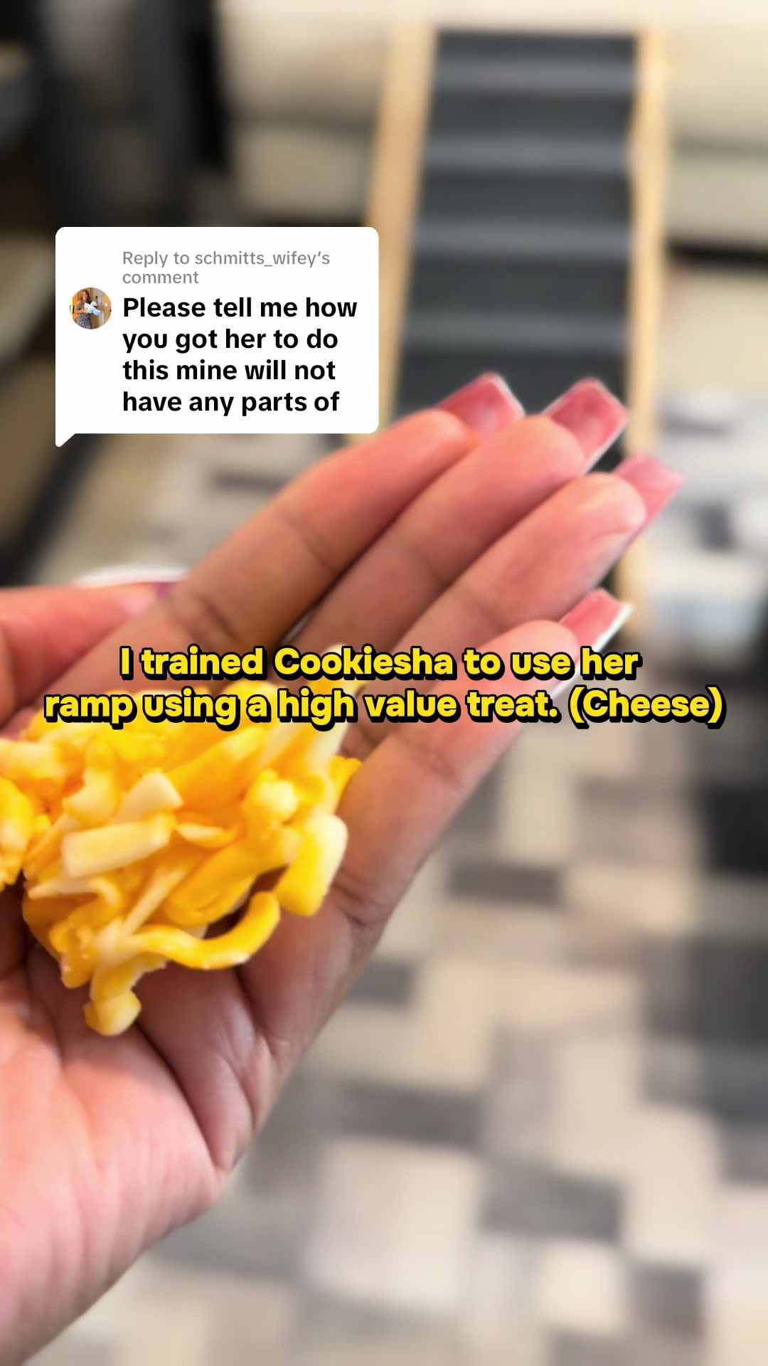 @nitaandcookiesha