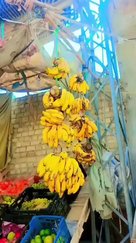 @𓂀 𝕄𝕦𝕣𝕒𝕕 𝕂𝕙𝕒𝕟 𓂀
