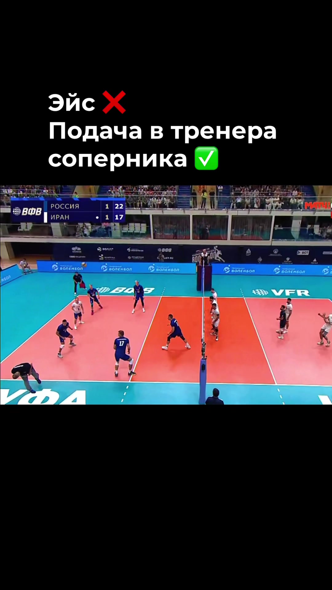 @Дарья Сон | ~Вокруг волейбола~