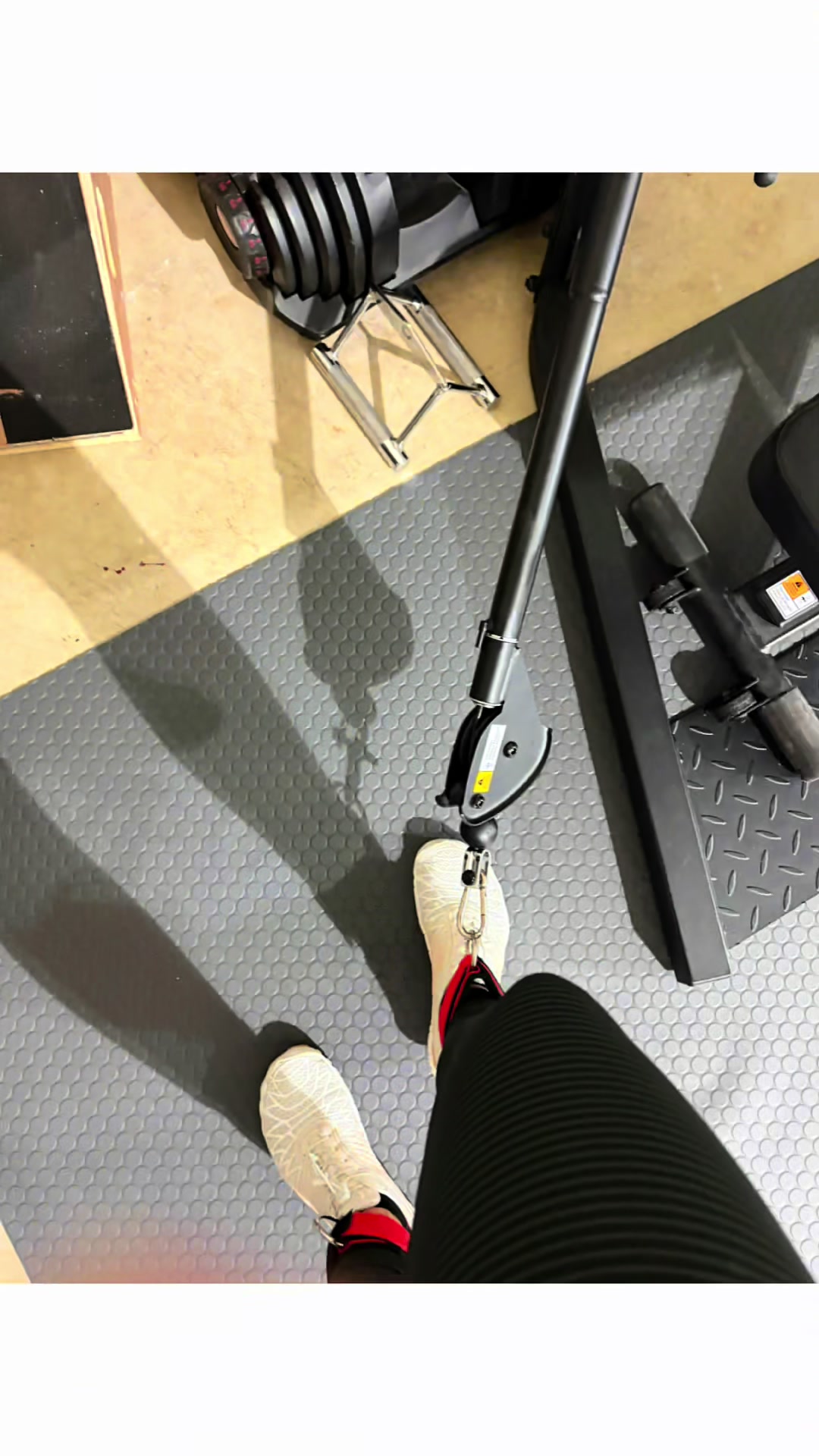 @Jody fitness ❌