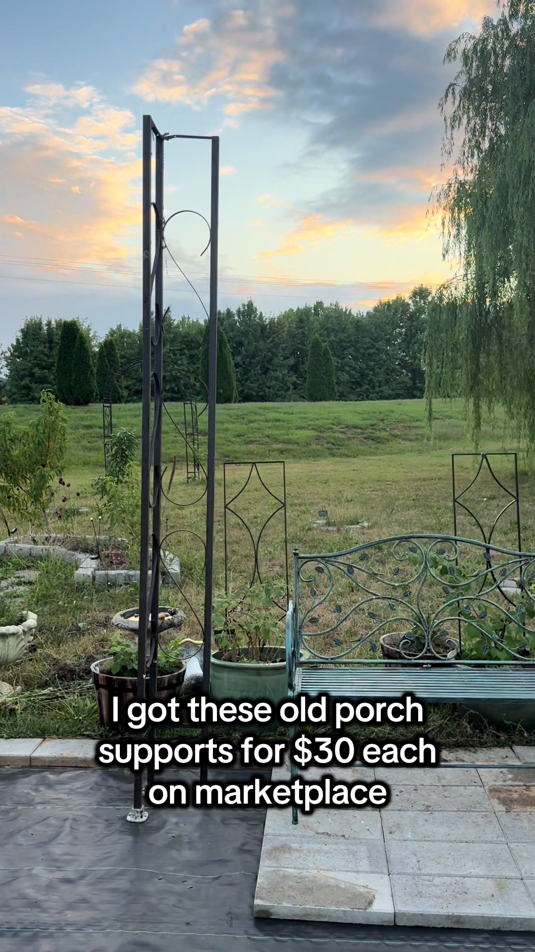 @The Bitchy Gardener - Jess 🍉