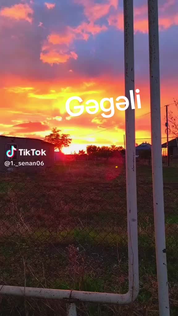 @817
