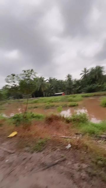 @Tata Minata