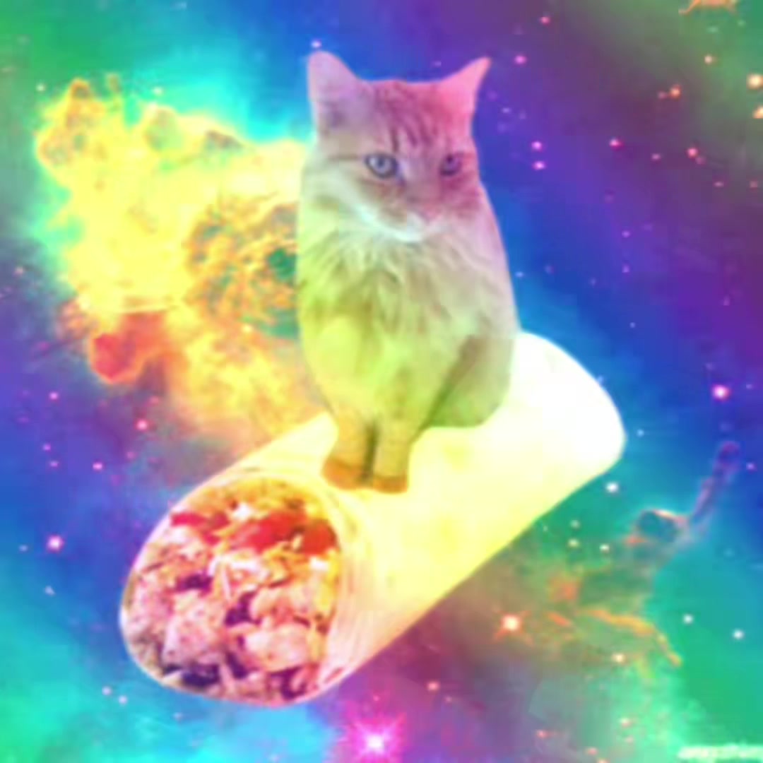 @𝄃𝄃𝄂𝄂𝄀𝄁𝄃𝄂𝄂𝄃