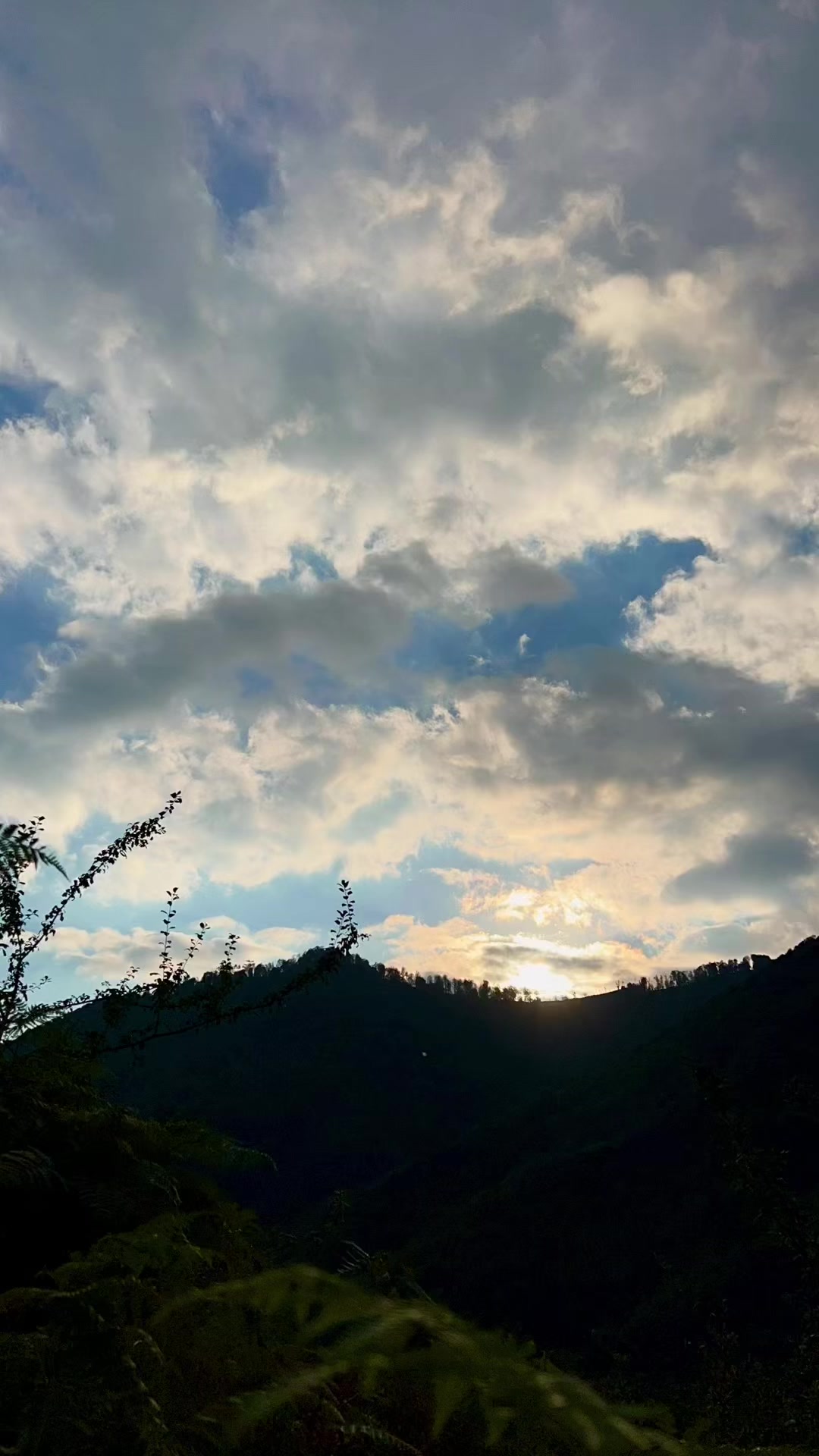 @𝑨𝒅𝒊𝒍𝒐𝒗🌿