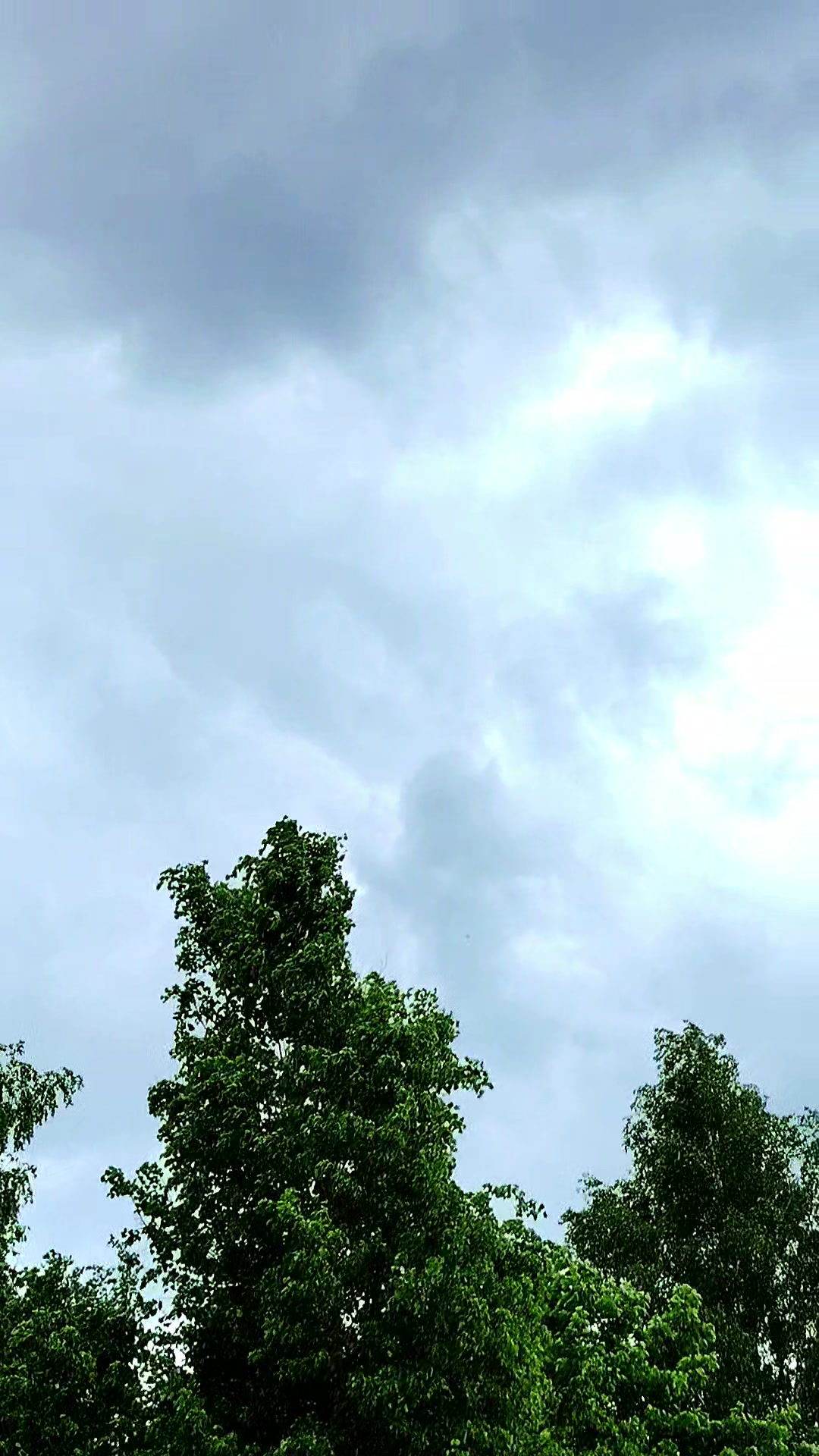 @Инна_🇧🇾🇧🇾🇧🇾_