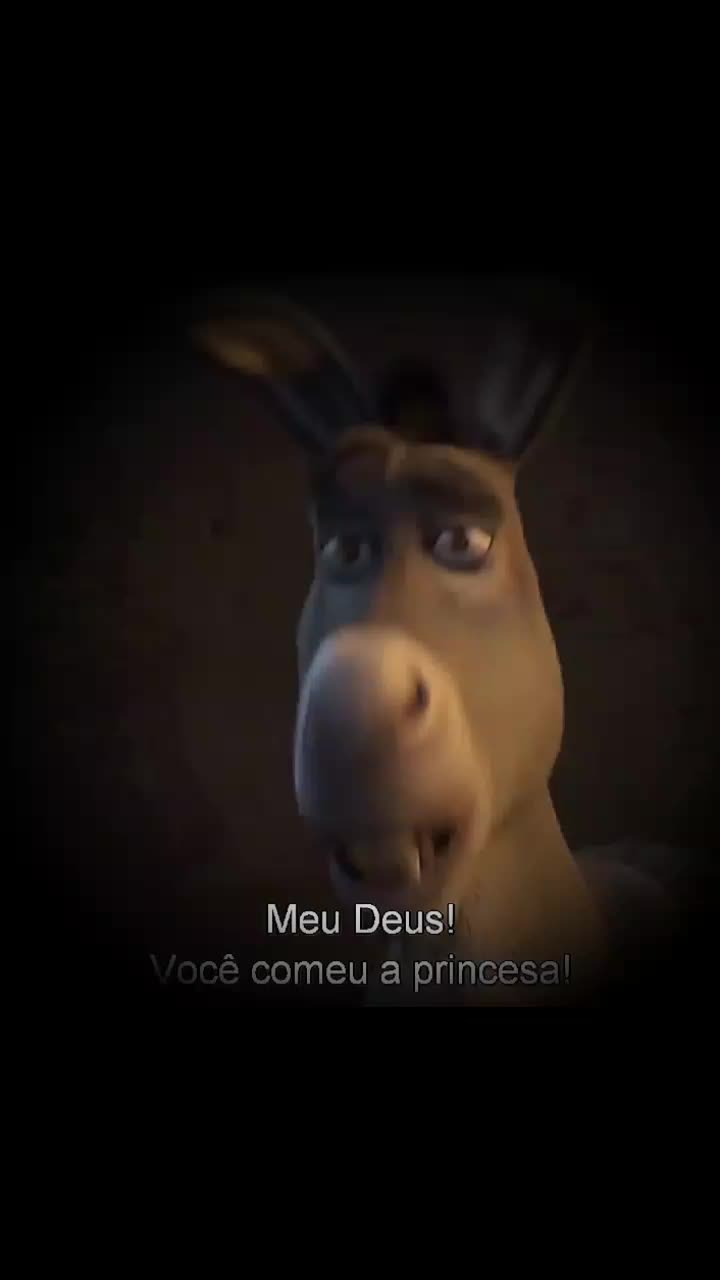 @Ritchy Marques
