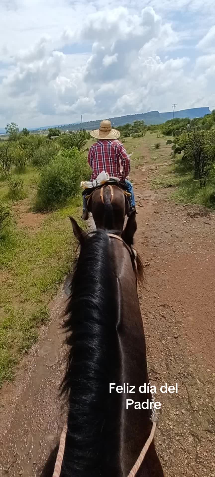 @El zurdo🌵🐴