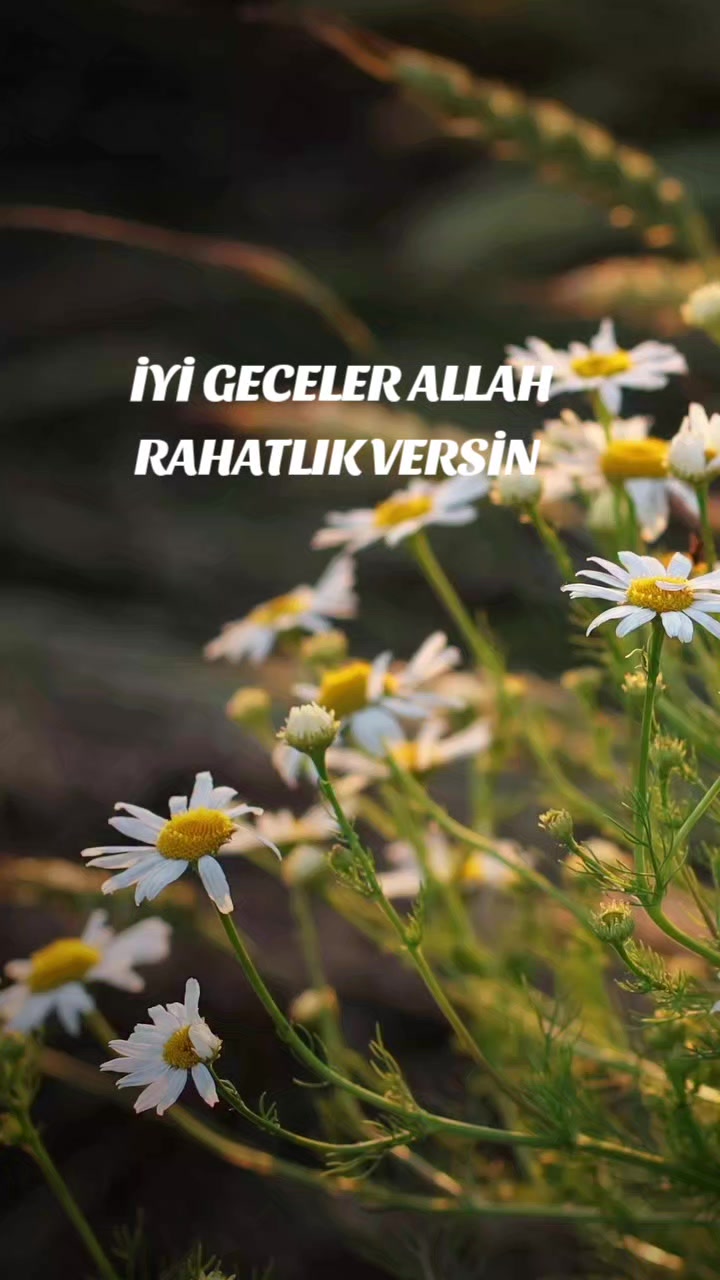 @Hasan Yılmaz