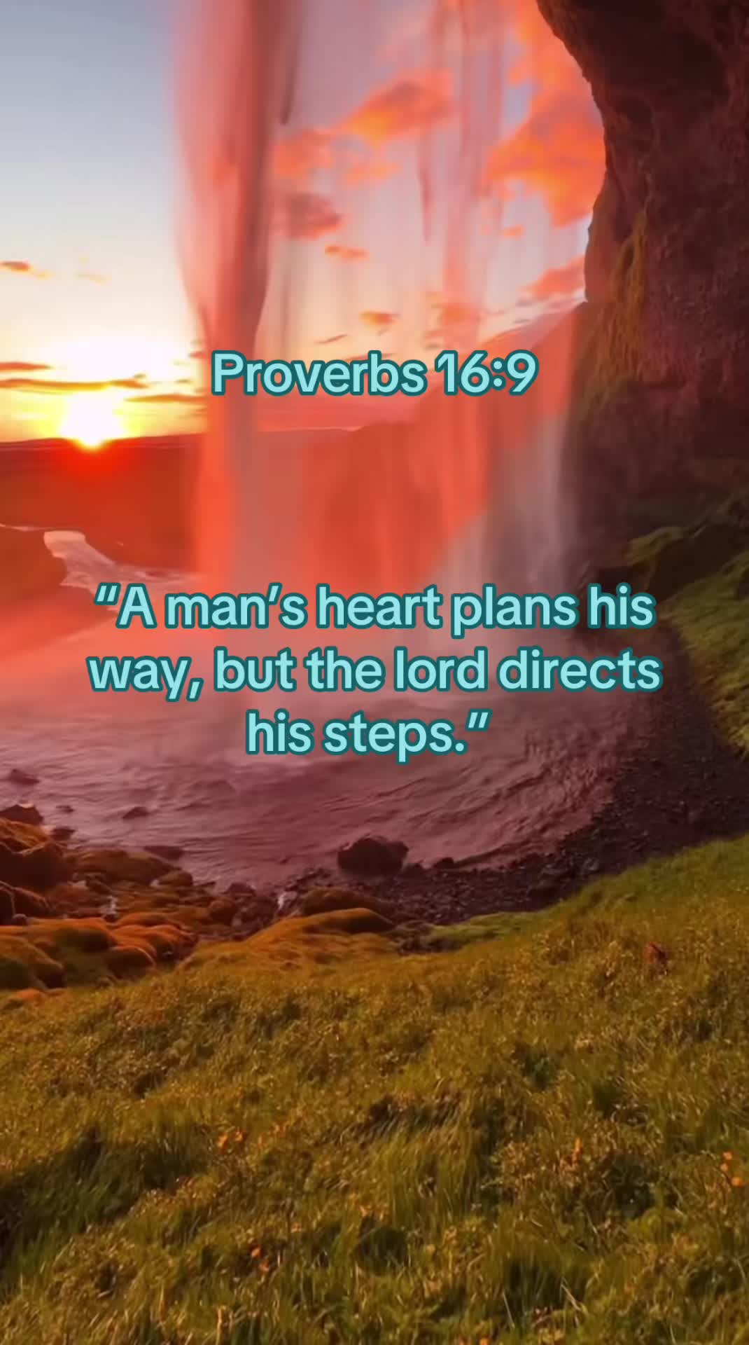 @Jesus is king✝️