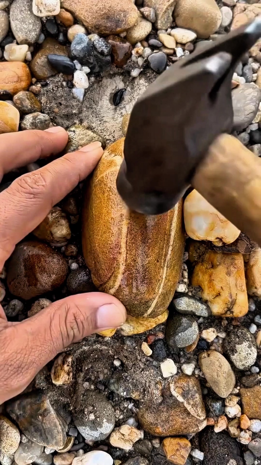 @🥭/Luis🫡Guam&aacute;n🫶\🍀