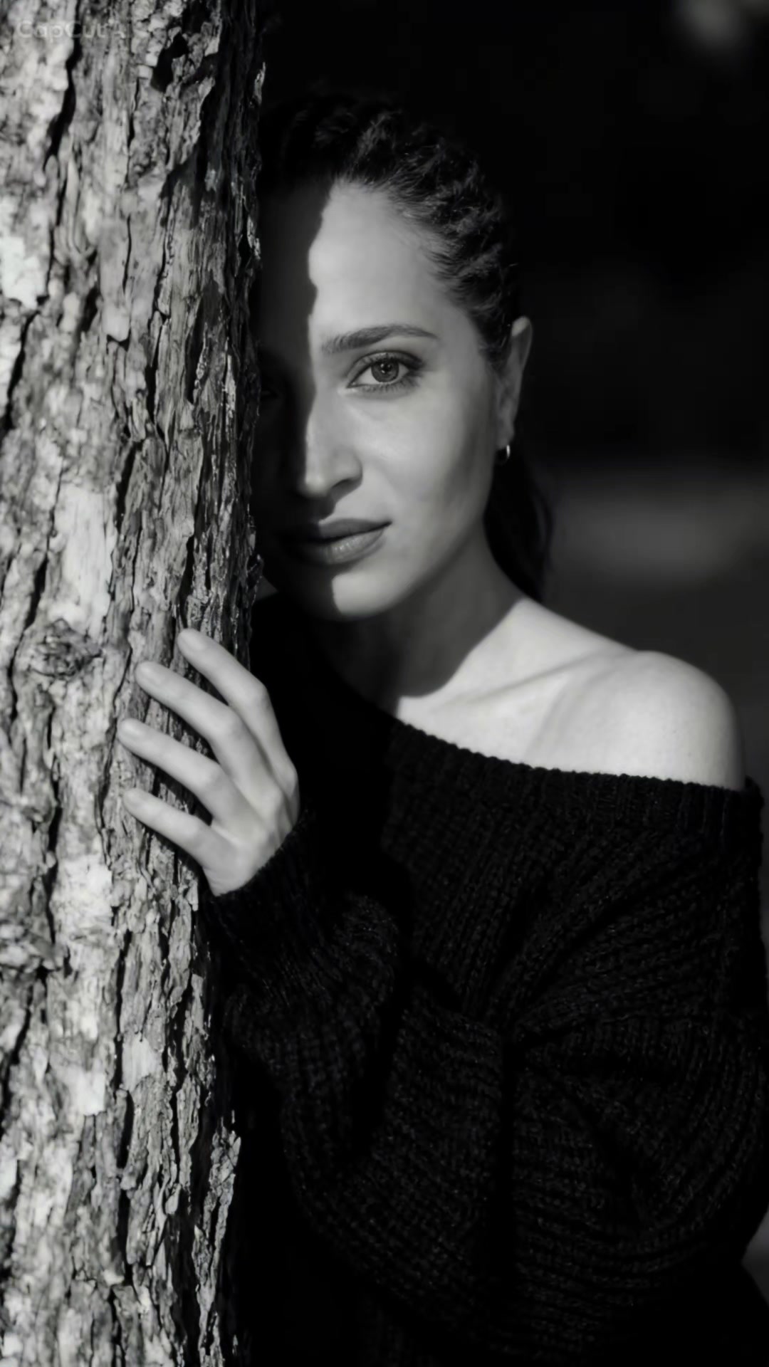 @samiansir452