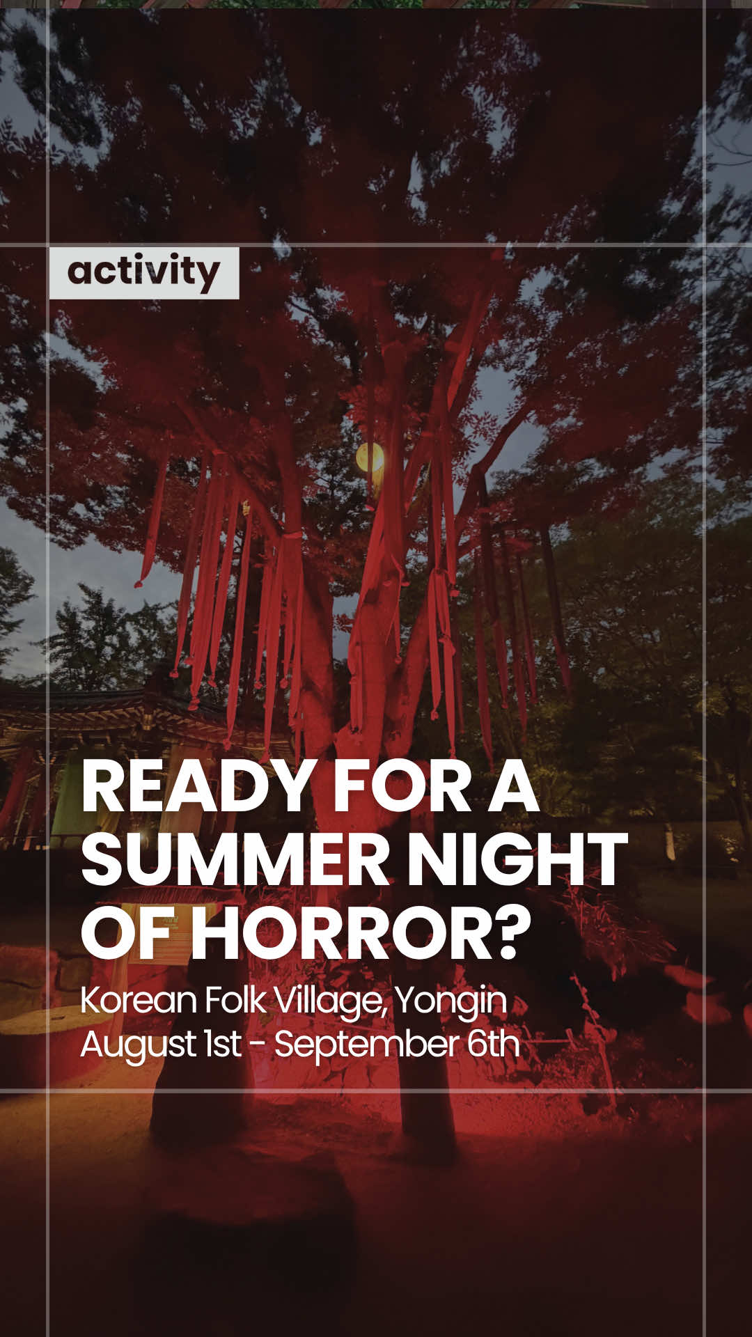 @Korea Insider
