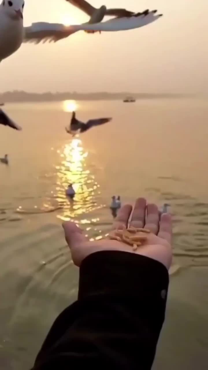 @Nasriinbaby