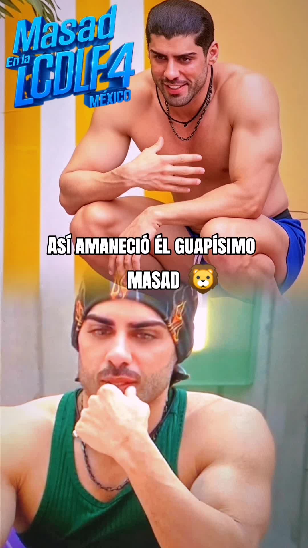 @Shelo Altamimi 🦁