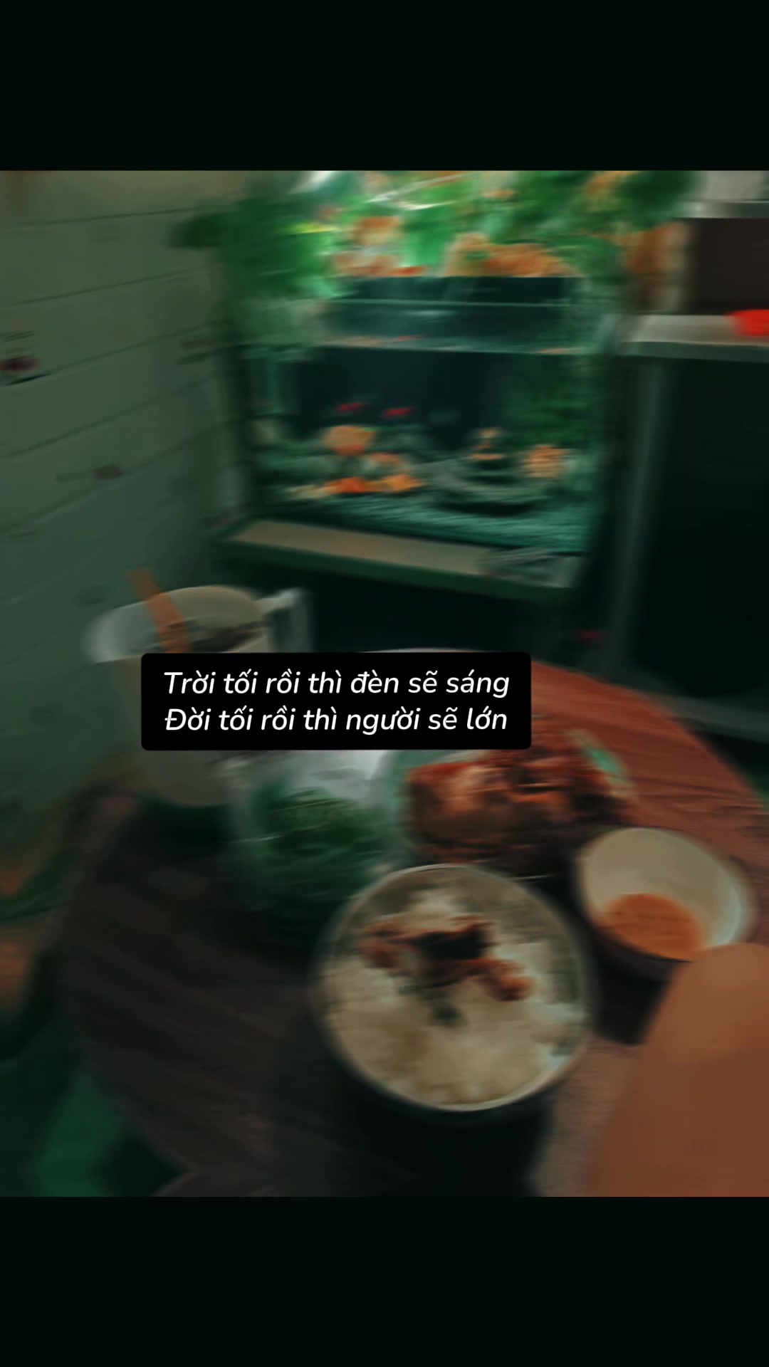 @Trần Anh Tuấn ✌️