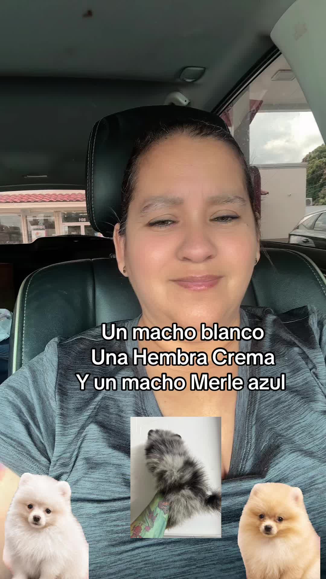 @pomy_lover1