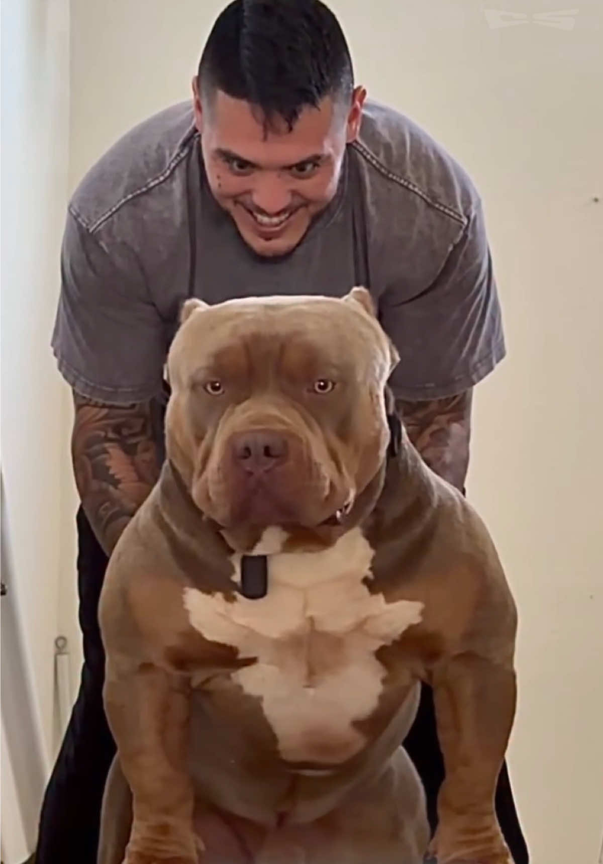 @The Canine Studio