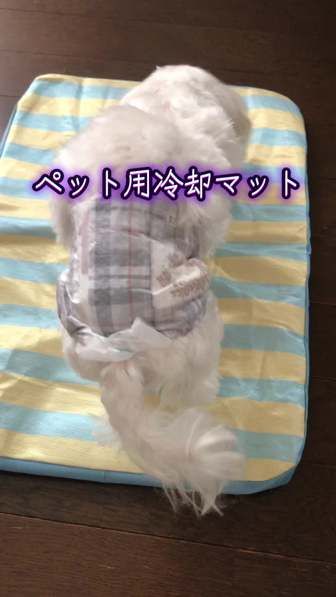 @ギフ禁ゆーきくん。🛠️超絶神推し詩季&真菜