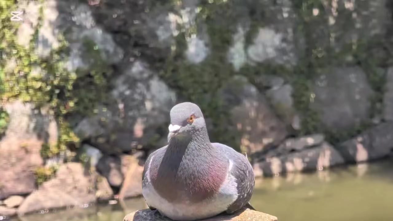 @自由人