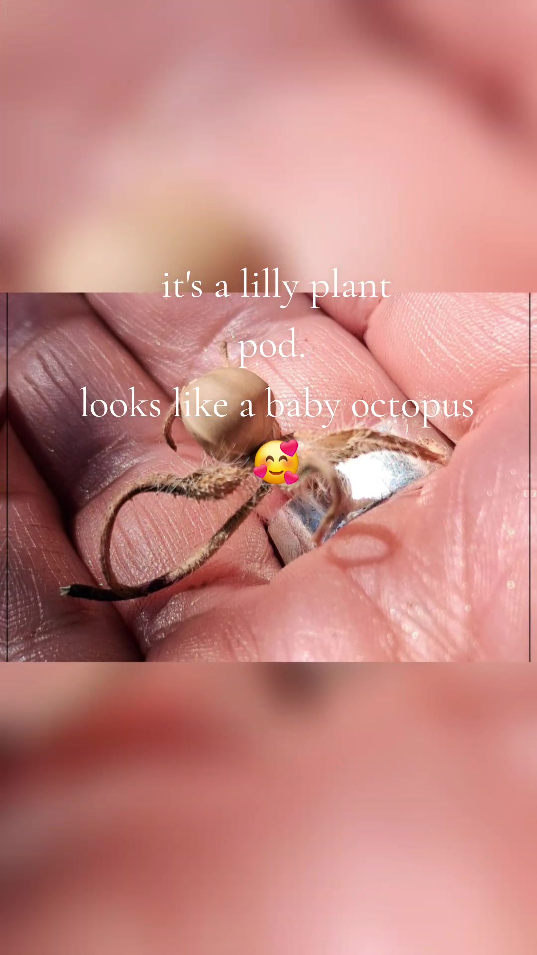 @Tinymight