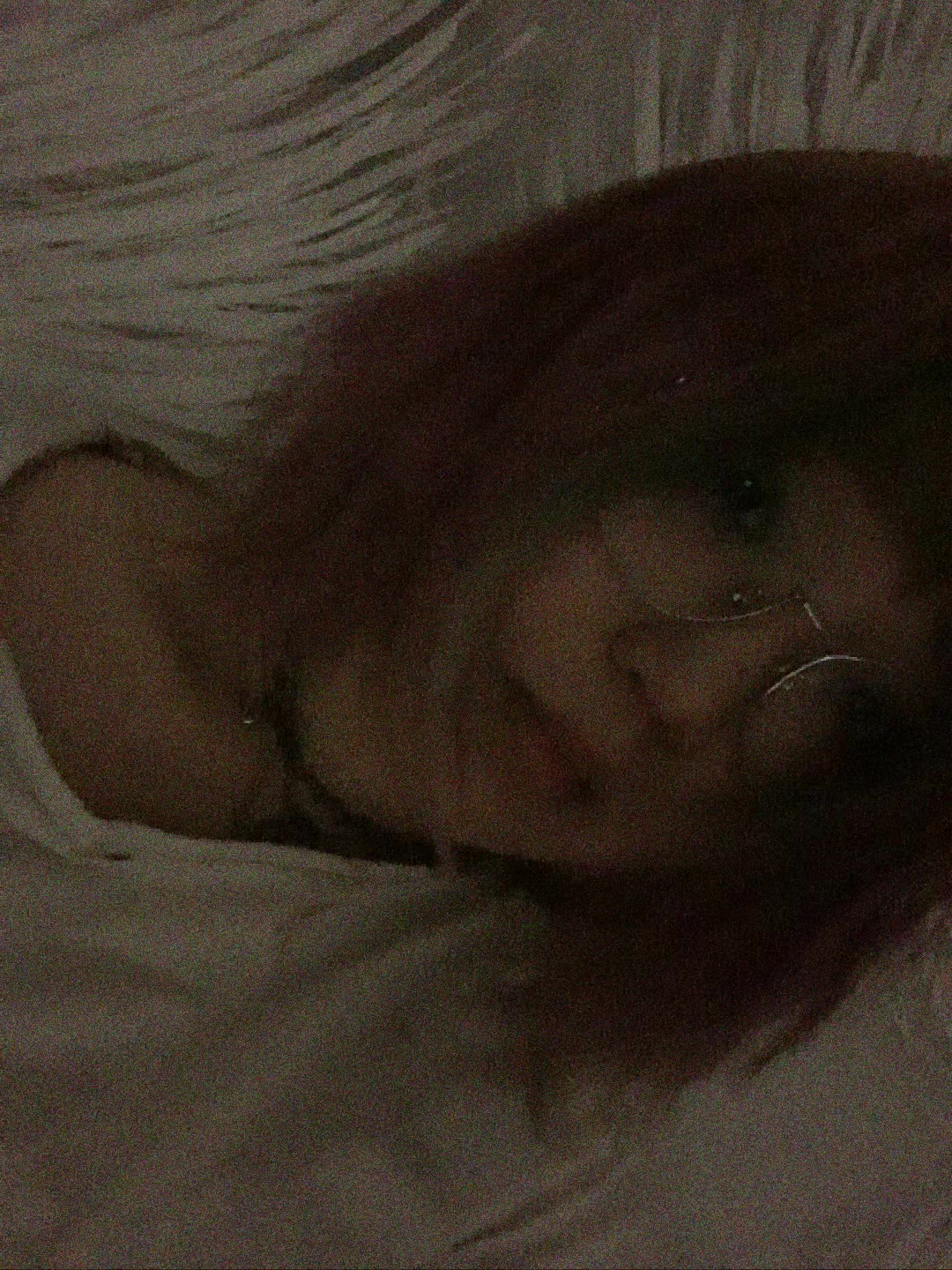 @казу пепко