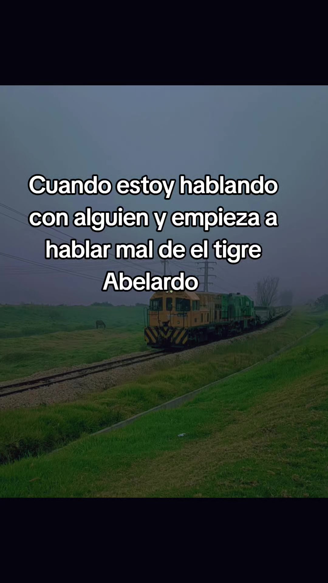 @Farid