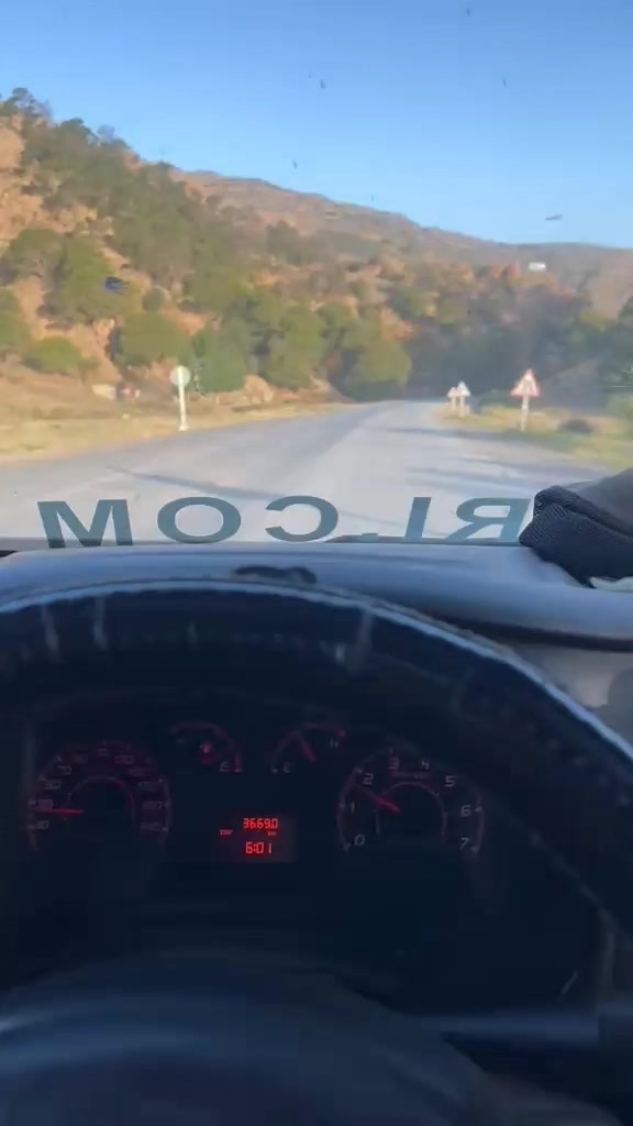 @Mezri Grissa