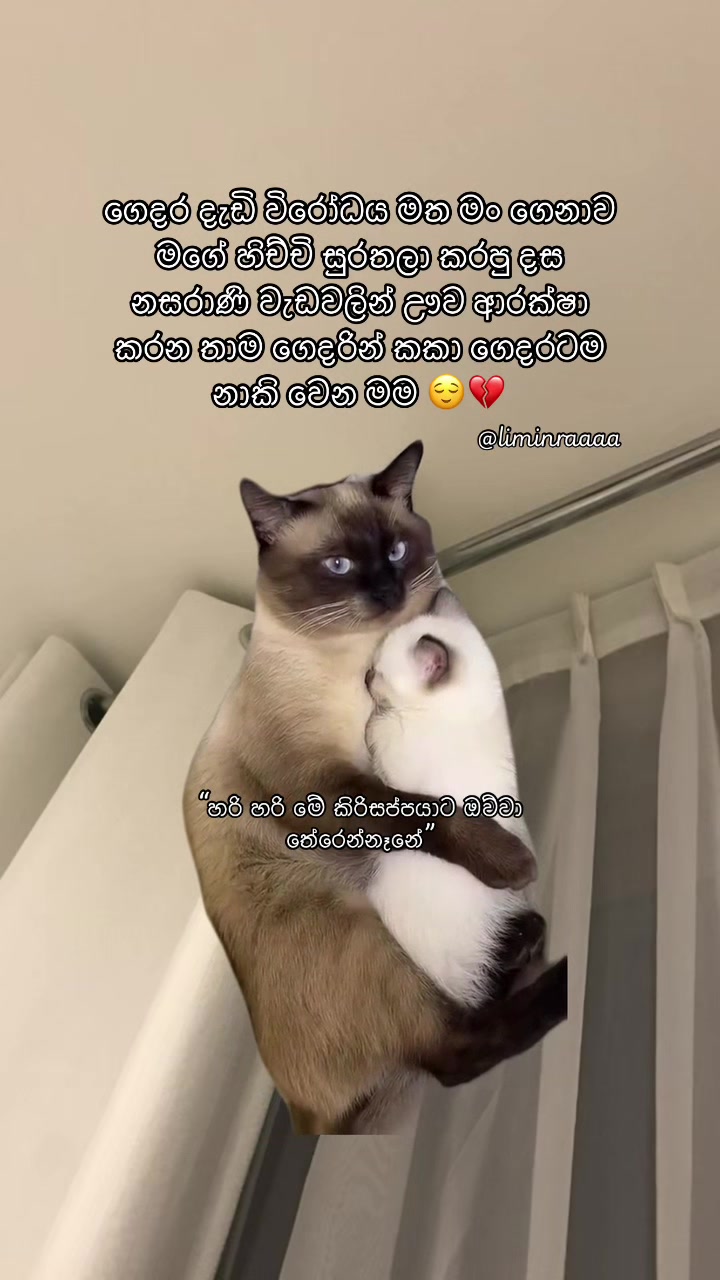@Lisumi Jayawardana