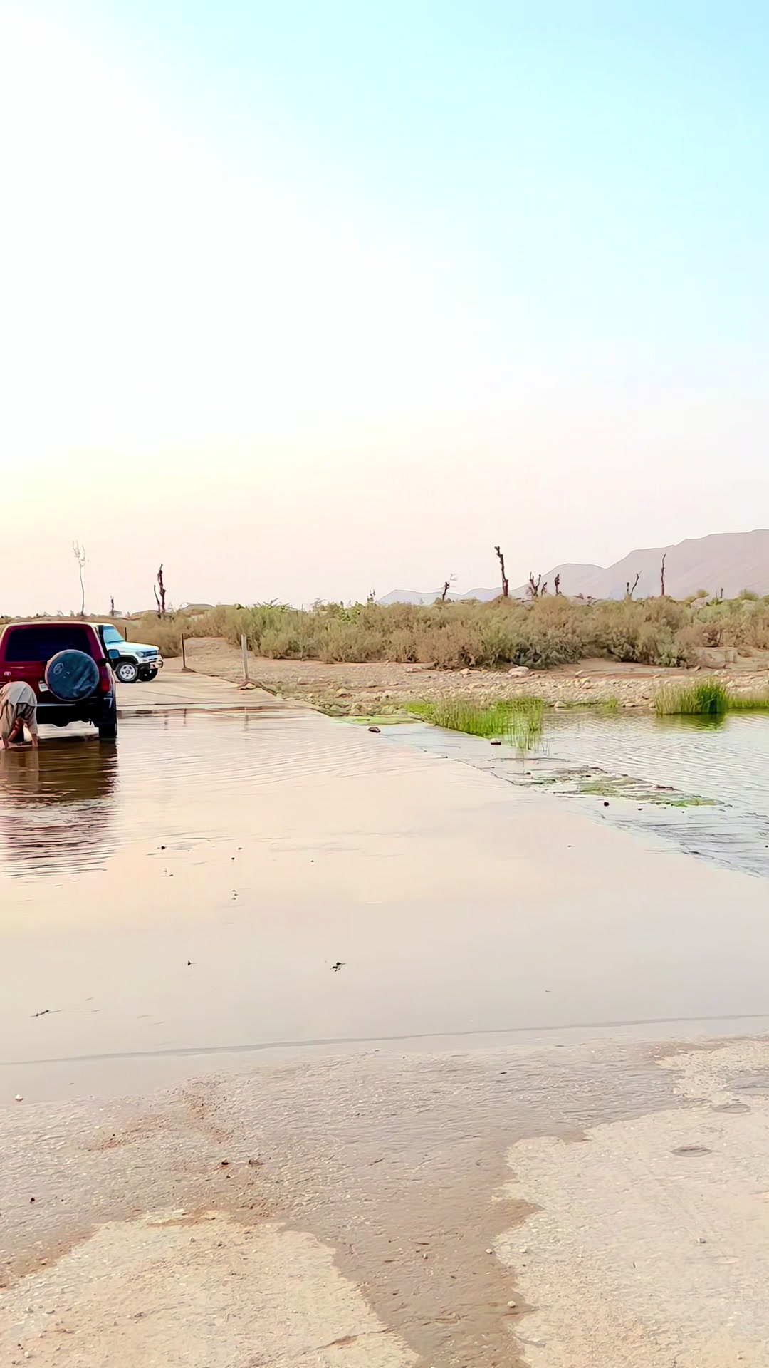 @جمالي طارق