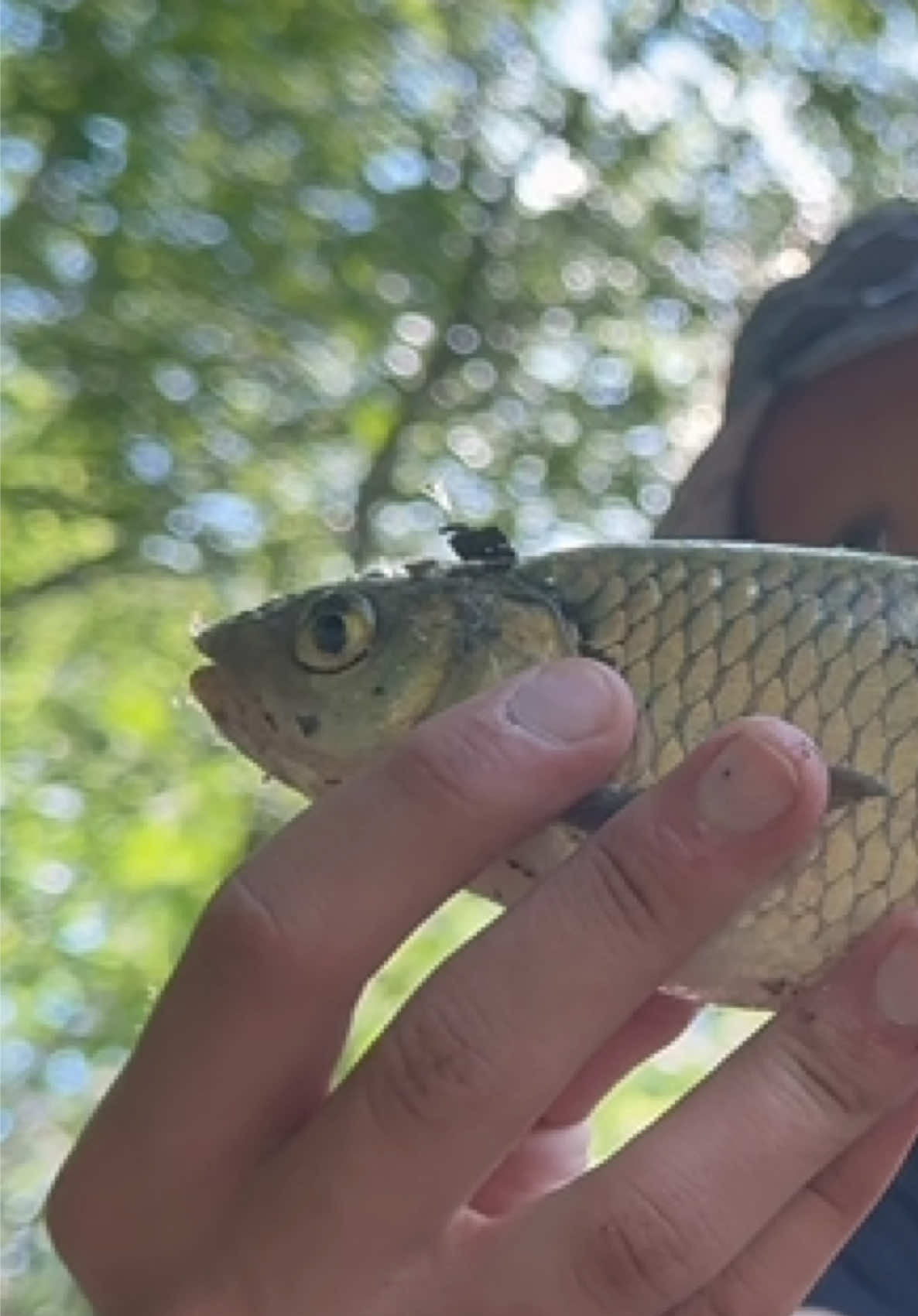 @𝗧𝗚.𝗗𝗬𝗫𝗙𝗜𝗦𝗛🎣