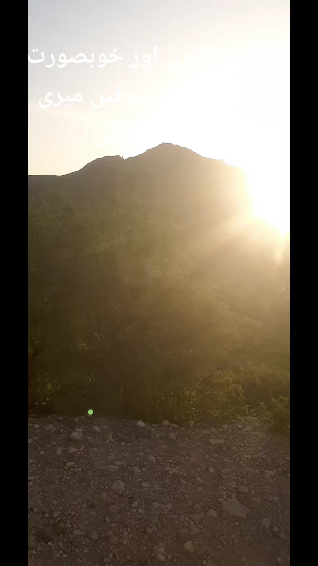 @Shumaila Akhtar